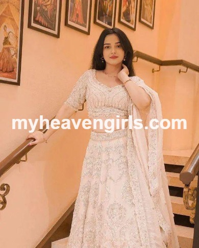 Ludhiana Call Girls service